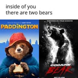 inside-of-you-there-are-two-bears-v0-ksvdji2nsxka1