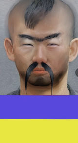 average pole flag poster