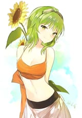 HappyFlowers
