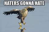 haters gonna hate