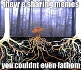 1669255828905351