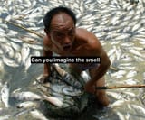 dead-fish-fisherman-imagine-the-smell