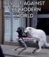 dogbot