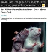 rats