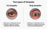 Sanpaku Eyes a Guide to the Japanese Superstition T Singapore Blog