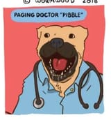The doctor is in