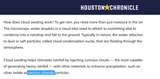 calcium_chloride_cloud_seeding