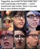 fish mouth democrat women