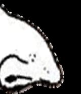 nose