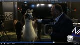 infowars2