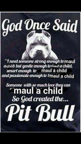 PIT BULL