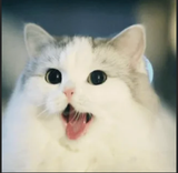 niiiiiiigger