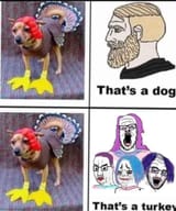 dog turkey tranny