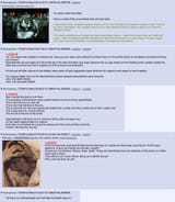 1706432798425772