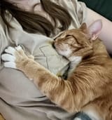 zZzZzZz