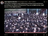 anti zionist jew lmao