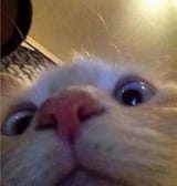 8987