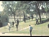 grassy knoll