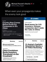 china makes porky seethe