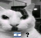 1729720280276642
