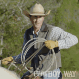 niggerlasso