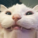 1744345263523020