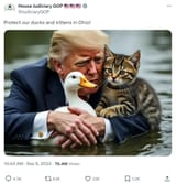 house_judiciary_trump_hugging_ducks_and_kittens_have_you_alien_space_laser_shooting_yids_lost_your_minds