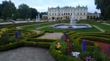 IMG_20250709_194606606