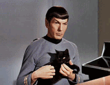 spock and cat