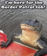 here-for-the-job
