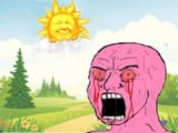 noooooooooooooooooooo