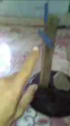 1745149598748044_thumb.jpg
