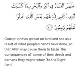 Koran 30 41