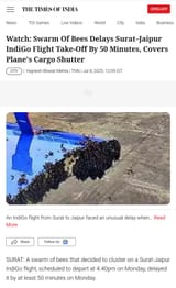 Bee plane
