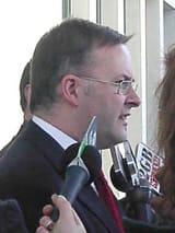 Anthony_Albanese,_Australian_Labor_MP_in_2005