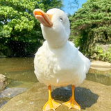 Duck smug Duck