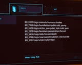 epstein_files_leaked