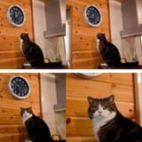 i8PHKbm4vlSrcTNbTVNW6F0TNI5TzUVb