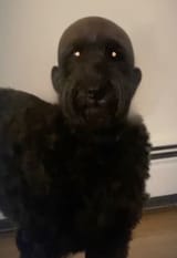 1688741331082717
