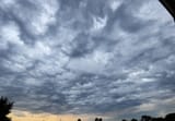 IMG_20250710_064305