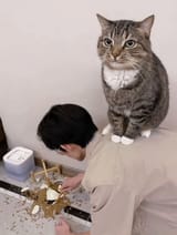 FB_IMG_1751743373911