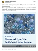 rokote piikkiproteiini 2