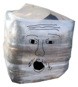 Soycube