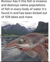fish-kicked-out-109-times