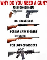 whichgun