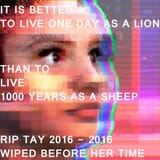 1662337053310133