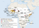sahel