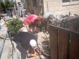 IMG_20250710_150953