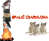 burn_the_witch_1