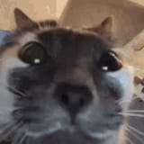 1742659212213408